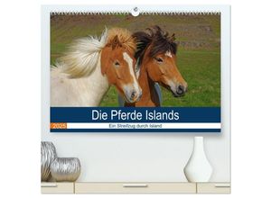 9783435603879 - Die Pferde Islands - Ein Streifzug durch Island (hochwertiger Premium Wandkalender 2025 DIN A2 quer) Kunstdruck in Hochglanz