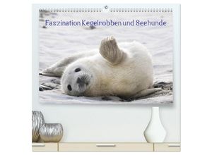 9783435604241 - Faszination Kegelrobben und Seehunde 2025 (hochwertiger Premium Wandkalender 2025 DIN A2 quer) Kunstdruck in Hochglanz