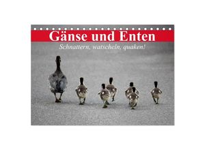 9783435604586 - Gänse und Enten Schnattern watscheln quaken! (Tischkalender 2025 DIN A5 quer) CALVENDO Monatskalender