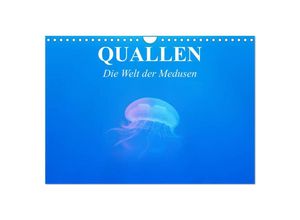 9783435604913 - Quallen Die Welt der Medusen (Wandkalender 2025 DIN A4 quer) CALVENDO Monatskalender