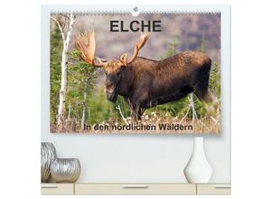 9783435605415 - ELCHE In den nördlichen Wäldern (hochwertiger Premium Wandkalender 2025 DIN A2 quer) Kunstdruck in Hochglanz