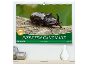 9783435605606 - INSEKTEN GANZ NAHE (hochwertiger Premium Wandkalender 2025 DIN A2 quer) Kunstdruck in Hochglanz