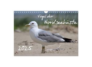 9783435606900 - Vögel der Nordseeküste (Wandkalender 2025 DIN A4 quer) CALVENDO Monatskalender