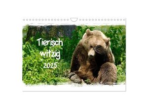 9783435606955 - Tierisch witzig (Wandkalender 2025 DIN A4 quer) CALVENDO Monatskalender