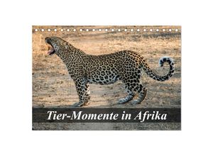 9783435607853 - Tier-Momente in Afrika (Tischkalender 2025 DIN A5 quer) CALVENDO Monatskalender