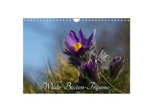 9783435610235 - Wilde Blüten-Träume (Wandkalender 2025 DIN A4 quer) CALVENDO Monatskalender