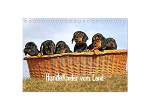 9783435610686 - Hundekinder vom Land (Tischkalender 2025 DIN A5 quer) CALVENDO Monatskalender