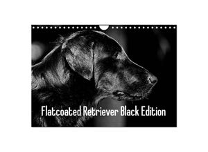 9783435611027 - Flatcoated Retriever Black Edition (Wandkalender 2025 DIN A4 quer) CALVENDO Monatskalender