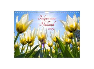 9783435611089 - Tulpen aus Holland (Wandkalender 2025 DIN A4 quer) CALVENDO Monatskalender