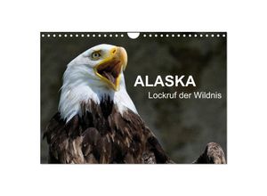 9783435611560 - Alaska - Lockruf der Wildnis (Wandkalender 2025 DIN A4 quer) CALVENDO Monatskalender