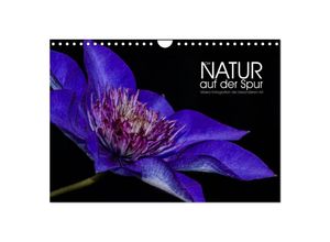 9783435612062 - Der Natur auf der Spur - Makro-Fotografien der besonderen Art (Wandkalender 2025 DIN A4 quer) CALVENDO Monatskalender