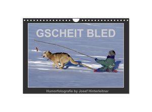 9783435612123 - GSCHEIT BLED - Humorfotografie (Wandkalender 2025 DIN A4 quer) CALVENDO Monatskalender