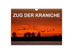 9783435612314 - Zug der Kraniche (Wandkalender 2025 DIN A4 quer) CALVENDO Monatskalender