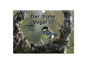 9783435612536 - Der frühe Vogel  erinnert Dich (Wandkalender 2025 DIN A4 quer) CALVENDO Monatskalender