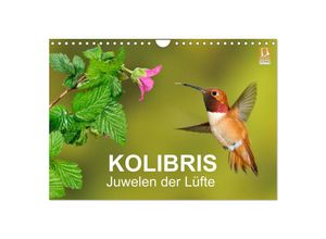 9783435612673 - Kolibris - Juwelen der Lüfte (Wandkalender 2025 DIN A4 quer) CALVENDO Monatskalender