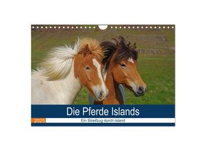 9783435613878 - Die Pferde Islands - Ein Streifzug durch Island (Wandkalender 2025 DIN A4 quer) CALVENDO Monatskalender