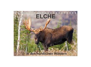 9783435614332 - ELCHE In den nördlichen Wäldern (Tischkalender 2025 DIN A5 quer) CALVENDO Monatskalender