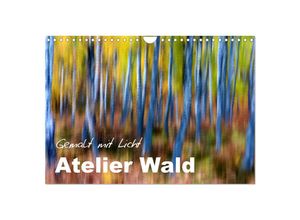 9783435614776 - Atelier Wald - gemalt mit Licht (Wandkalender 2025 DIN A4 quer) CALVENDO Monatskalender