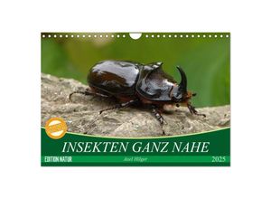 9783435614813 - INSEKTEN GANZ NAHE (Wandkalender 2025 DIN A4 quer) CALVENDO Monatskalender