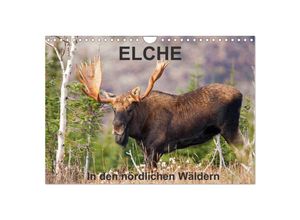 9783435614851 - ELCHE In den nördlichen Wäldern (Wandkalender 2025 DIN A4 quer) CALVENDO Monatskalender