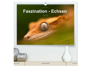 9783435614936 - Faszination - Echsen (hochwertiger Premium Wandkalender 2025 DIN A2 quer) Kunstdruck in Hochglanz