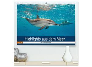 9783435614981 - Highlights aus dem Meer - Tauchkalender (hochwertiger Premium Wandkalender 2025 DIN A2 quer) Kunstdruck in Hochglanz