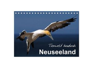 9783435615070 - Neuseeland - Tierwelt hautnah (Tischkalender 2025 DIN A5 quer) CALVENDO Monatskalender