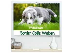 9783435615131 - Pfotastische Border Collie Welpen (hochwertiger Premium Wandkalender 2025 DIN A2 quer) Kunstdruck in Hochglanz