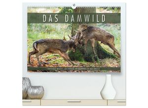 9783435616121 - Emotionale Momente Das Damwild (hochwertiger Premium Wandkalender 2025 DIN A2 quer) Kunstdruck in Hochglanz