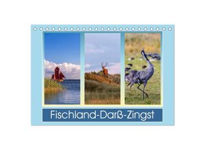 9783435616138 - Fischland-Darß-Zingst (Tischkalender 2025 DIN A5 quer) CALVENDO Monatskalender