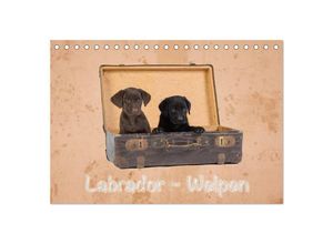 9783435616152 - Labrador - Welpen (Tischkalender 2025 DIN A5 quer) CALVENDO Monatskalender