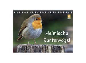 9783435616183 - Heimische Gartenvögel (Tischkalender 2025 DIN A5 quer) CALVENDO Monatskalender