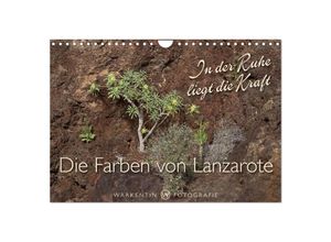 9783435616213 - Die Farben von Lanzarote - In der Ruhe liegt die Kraft (Wandkalender 2025 DIN A4 quer) CALVENDO Monatskalender