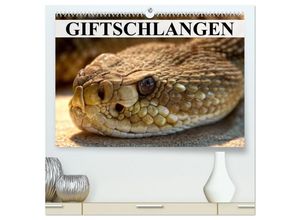 9783435616848 - Giftschlangen (hochwertiger Premium Wandkalender 2025 DIN A2 quer) Kunstdruck in Hochglanz