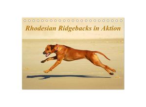 9783435617166 - Rhodesian Ridgebacks in Aktion (Tischkalender 2025 DIN A5 quer) CALVENDO Monatskalender