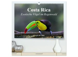 9783435617876 - Costa Rica - Exotische Vögel im Regenwald (hochwertiger Premium Wandkalender 2025 DIN A2 quer) Kunstdruck in Hochglanz