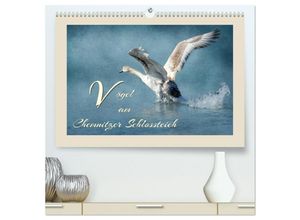 9783435619726 - Vögel am Chemnitzer Schlossteich (hochwertiger Premium Wandkalender 2025 DIN A2 quer) Kunstdruck in Hochglanz