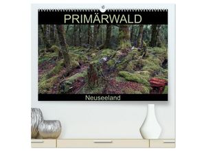 9783435619948 - Primärwald - Neuseeland (hochwertiger Premium Wandkalender 2025 DIN A2 quer) Kunstdruck in Hochglanz