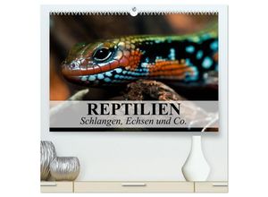 9783435622641 - Reptilien Schlangen Echsen und Co (hochwertiger Premium Wandkalender 2025 DIN A2 quer) Kunstdruck in Hochglanz 9783435622641 - Reptilien Schlangen Echsen und Co (hochwertiger Premium Wandkalender 2025 DIN A2 quer) Kunstdruck in Hochglanz