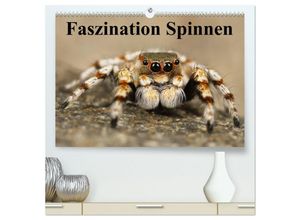 9783435622658 - Faszination Spinnen (hochwertiger Premium Wandkalender 2025 DIN A2 quer) Kunstdruck in Hochglanz