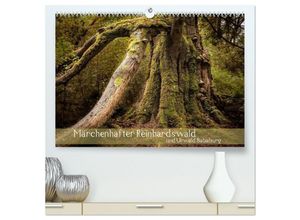 9783435623297 - Märchenhafter Reinhardswald und Urwald Sababurg (hochwertiger Premium Wandkalender 2025 DIN A2 quer) Kunstdruck in Hochglanz