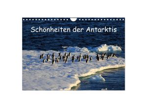 9783435623419 - Schönheiten der Antarktis (Wandkalender 2025 DIN A4 quer) CALVENDO Monatskalender