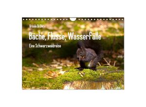 9783435625048 - Bäche Flüsse Wasserfälle - Eine Schwarzwaldreise (Wandkalender 2025 DIN A4 quer) CALVENDO Monatskalender