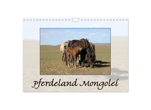 9783435626373 - Pferdeland Mongolei (Wandkalender 2025 DIN A4 quer) CALVENDO Monatskalender