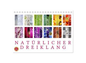 9783435627455 - Natürlicher Dreiklang (Tischkalender 2025 DIN A5 quer) CALVENDO Monatskalender