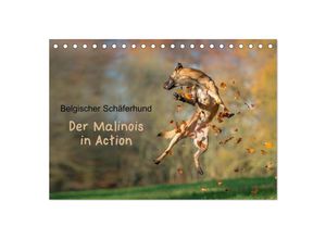 9783435627707 - Belgischer Schäferhund - Der Malinois in Action (Tischkalender 2025 DIN A5 quer) CALVENDO Monatskalender