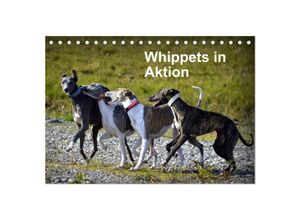 9783435629909 - Whippets in Aktion (Tischkalender 2025 DIN A5 quer) CALVENDO Monatskalender