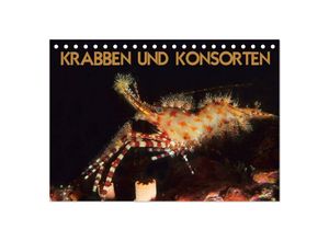 9783435630783 - KRABBEN UND KONSORTEN (Tischkalender 2025 DIN A5 quer) CALVENDO Monatskalender