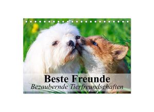 9783435630929 - Beste Freunde - Bezaubernde Tierfreundschaften (Tischkalender 2025 DIN A5 quer) CALVENDO Monatskalender