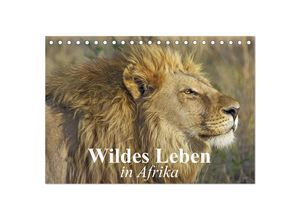 9783435631216 - Wildes Leben in Afrika (Tischkalender 2025 DIN A5 quer) CALVENDO Monatskalender